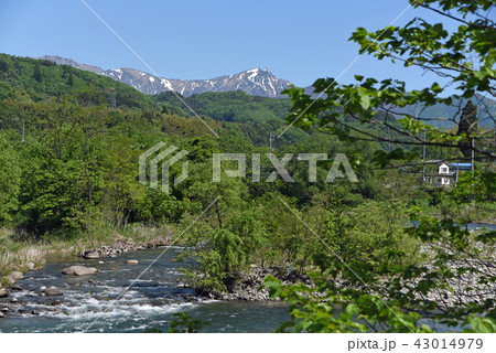 群馬県 利根川より谷川岳を望む 群馬県 利根川より谷川岳を望む 43014979