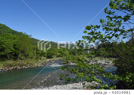 群馬県 利根川より谷川岳を望む 群馬県 利根川より谷川岳を望む 43014981