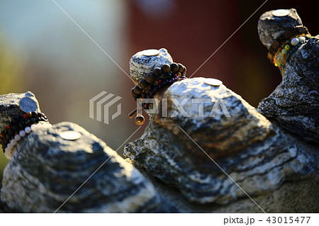 日の出 人 節 43015477