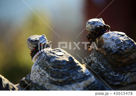 日の出 人 節 43015478