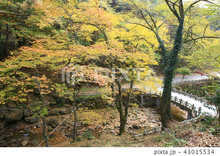 節 寺院 宗教 43015534