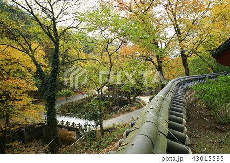 節 寺院 宗教 43015535