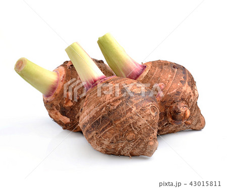 taro isolated on white background taro isolated on white background 43015811
