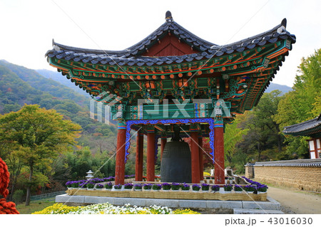ヨンゴクサ 寺院 秋 43016030