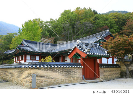 ヨンゴクサ 節 寺院 43016031