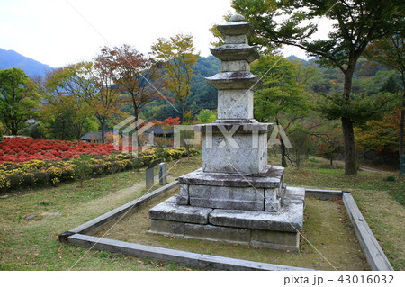 ヨンゴクサ 節 寺院 43016032