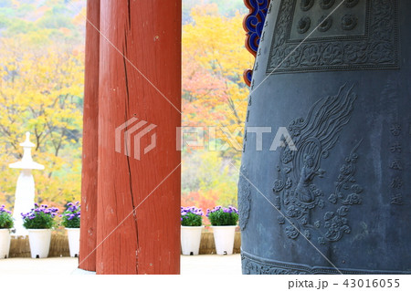 ヨンゴクサ 節 寺院 43016055