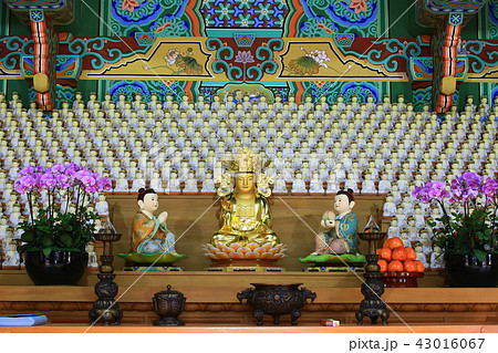 ヨンゴクサ 節 寺院 43016067