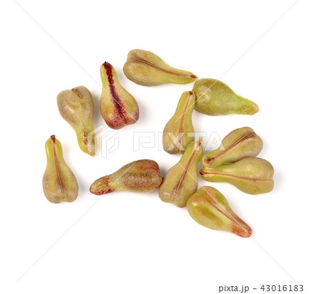 grape Seed isolated on white background 43016183
