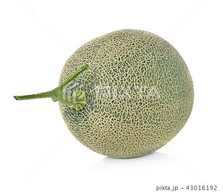 cantaloupe melon isolated on white background 43016192