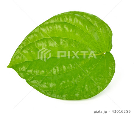 Betel on isolated background. Betel on isolated background. 43016259