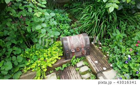 宝箱 宝箱 43016341