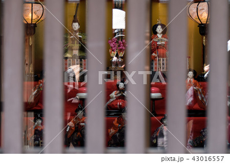 富田林じないまち雛めぐり 43016557