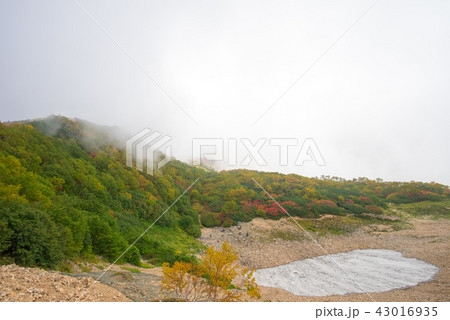 唐松岳登山道 唐松岳登山道 43016935