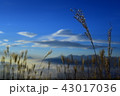 秋の高原の夜明け 43017036