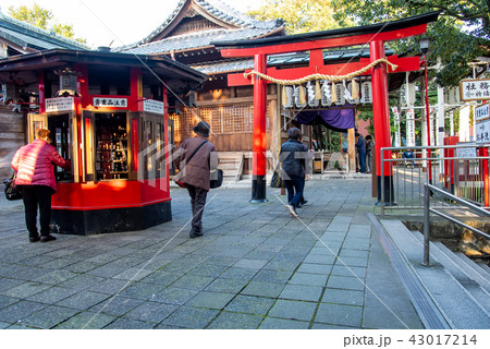 千代保稲荷の境内　赤い鳥居　燈明台　参拝者 43017214