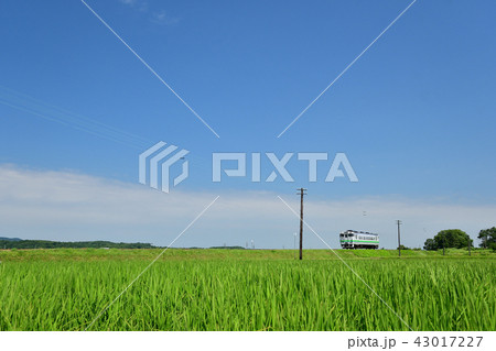 青空と田んぼと列車とハエたたき 43017227