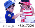 ビーチで遊ぶ姉弟 43017229