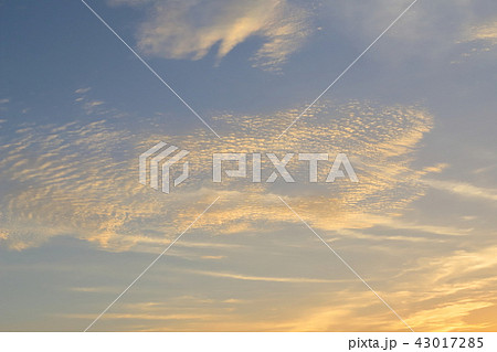 空　雲　夕方　朝方 43017285