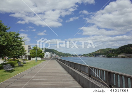 尾道 海岸沿いの遊歩道 尾道 海岸沿いの遊歩道 43017363