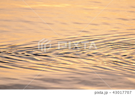 水面模様 朝色 43017707