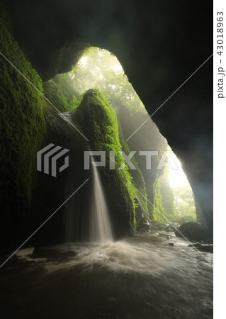 シワガラの滝156 43018963