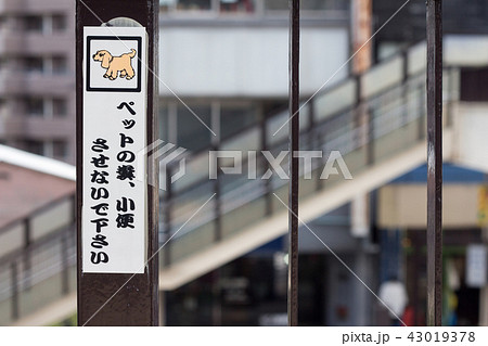 犬の散歩のマナーを啓発するステッカー 43019378