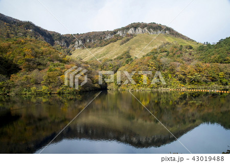 船上山の秋色 43019488