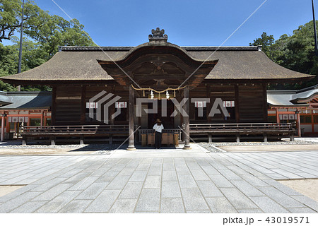 大三島 大山祇神社 拝殿 大三島 大山祇神社 拝殿 43019571