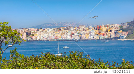 Amazing panoramic view of Procida Island, Italy Amazing panoramic view of Procida Island, Italy 43021115