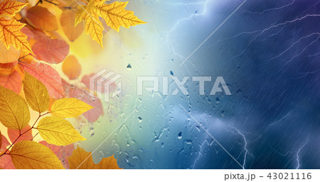 Fall rainy day, powerful lightnings  43021116