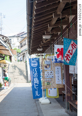 夏の江ノ島の参道の飲食店ののぼり 43021219