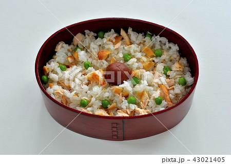 鮭ごはん弁当 鮭ごはん弁当 43021405