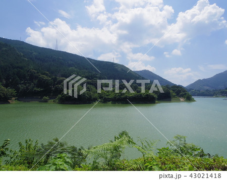愛媛県西予市野村ダム(朝霧湖) 愛媛県西予市野村ダム(朝霧湖) 43021418