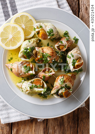 French seafood 43021434