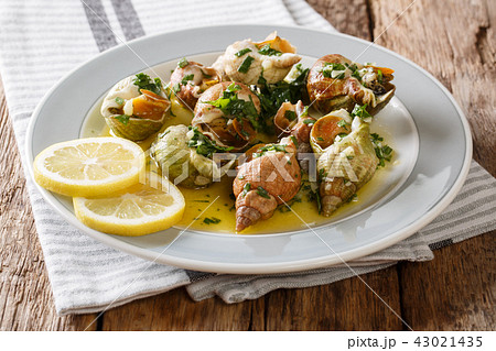 French shellfish bulot whelks served with a sauce 43021435