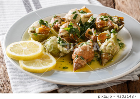 Bulots Cuits - Cooked Waved Whelks with a sauce 43021437