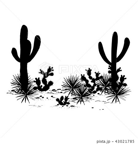 Cacti Landscape Vector Silhouettesのイラスト素材