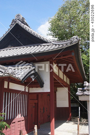 飯田城桜丸御門 43022696