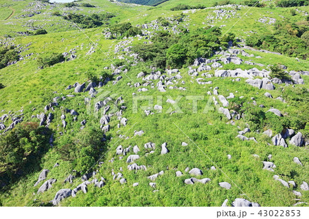 [ドローン・空撮]　晴天の平尾台　キス岩近く 43022853