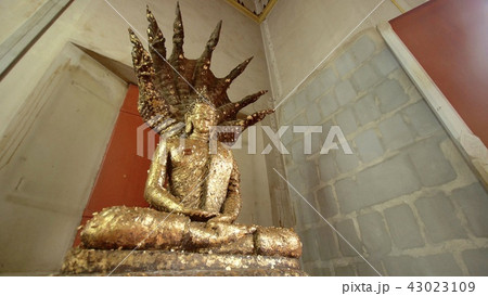 puraton_05 43023109