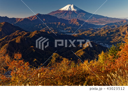 朝の百蔵山山頂から眺める富士山 朝の百蔵山山頂から眺める富士山 43023512