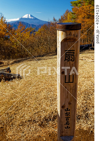 扇山山頂から見る富士山 扇山山頂から見る富士山 43024139