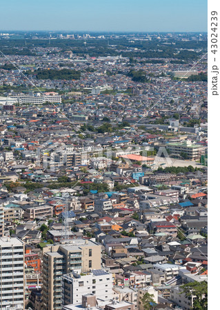 都市風景 43024239