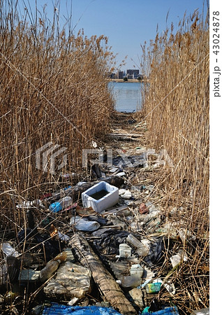 環境汚染 環境汚染 43024878