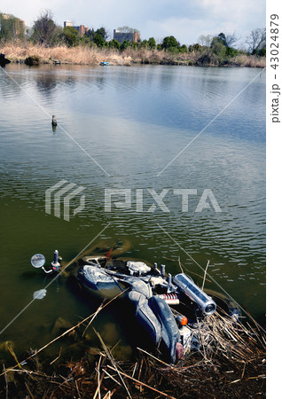 不法投棄 43024879