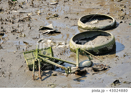 不法投棄 43024880