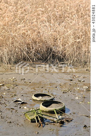 不法投棄 不法投棄 43024881