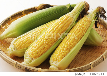 とうもろこし 43025211
