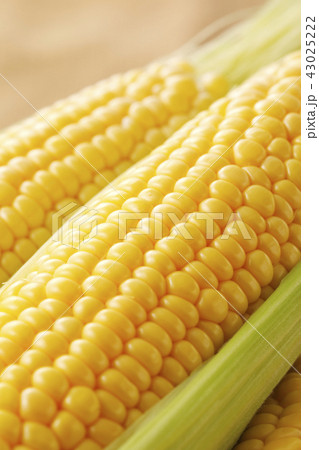 とうもろこし とうもろこし 43025222
